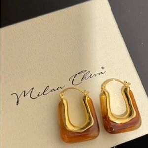 Chic Gold and Brown Hoop Earrings